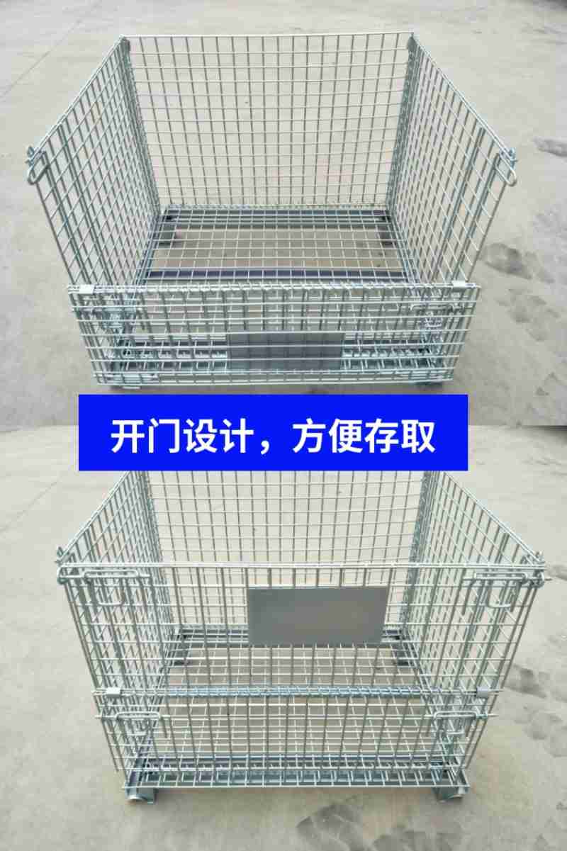 豹纹守宫也是学生们的小玩伴儿。人民网记者 杨启红摄